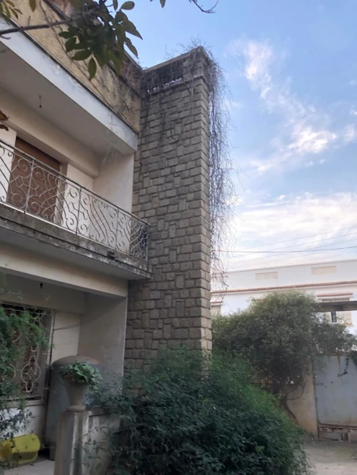 Vente Villa Blida Blida