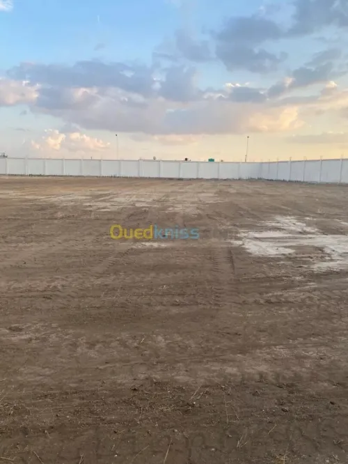 Vente Hangar - Usine Oum El Bouaghi Ain mlila