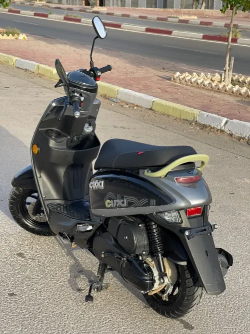 Linhai Cuxi 2 2025