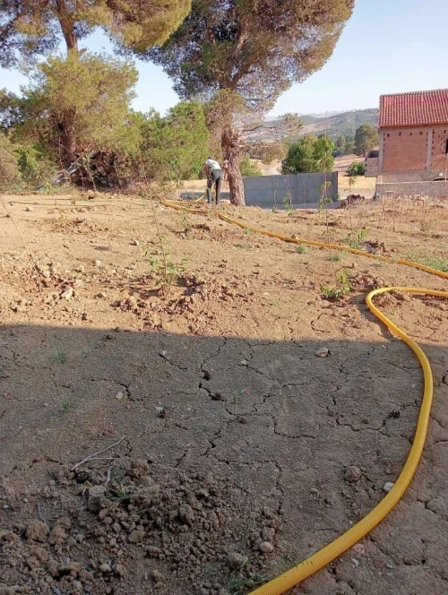 Vente Terrain Agricole Médéa Zoubiria