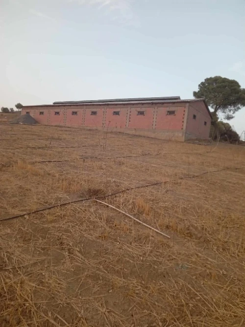 Vente Terrain Agricole Médéa Zoubiria
