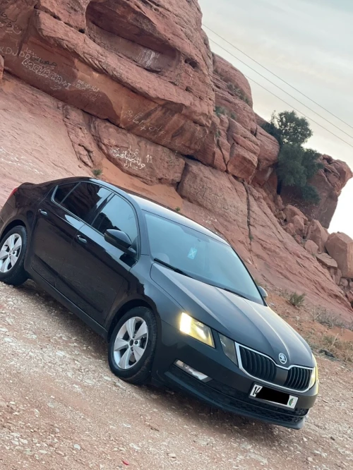 Skoda Octavia 2019 Ambition
