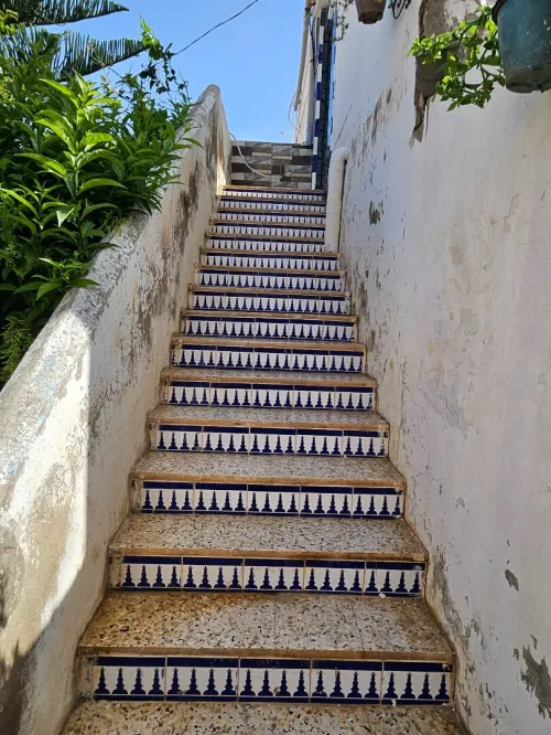 Location Bungalow F3 Tlemcen Marsa ben mhidi