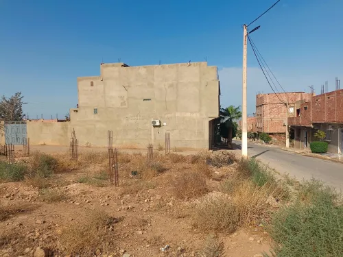 Vente Terrain Relizane Djidioua