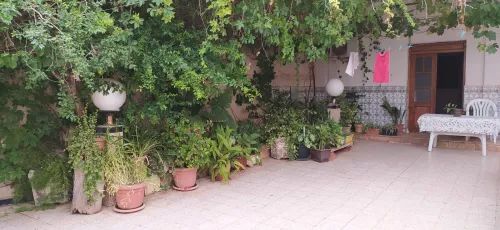 Vente Villa F6 Chlef Chlef