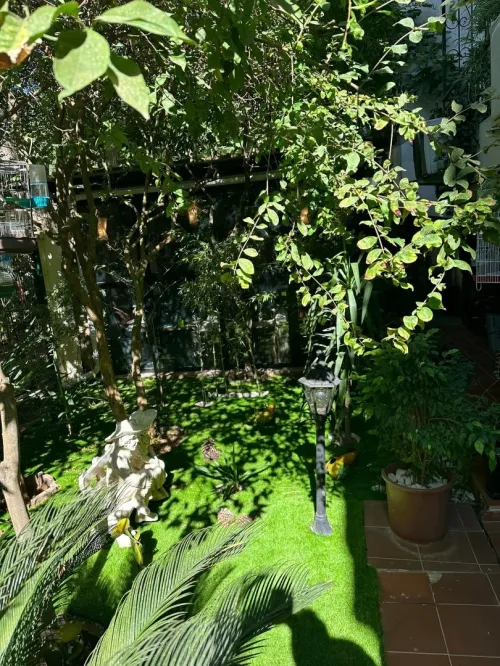 Location vacances Appartement Studio Alger Ben aknoun