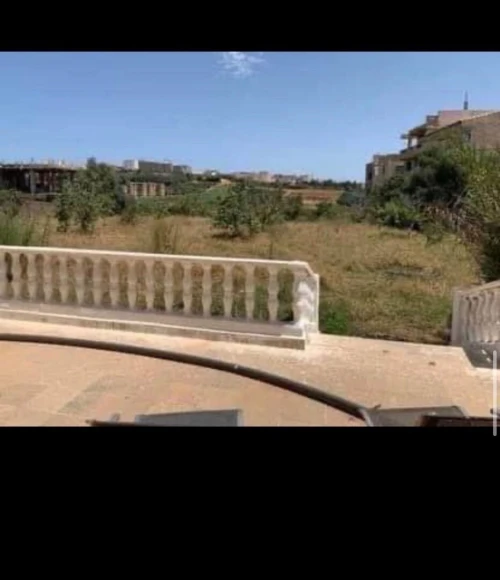 Vente Terrain Tipaza Kolea