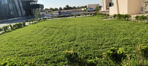 Aménagement Espace vert et pose Gazon naturel