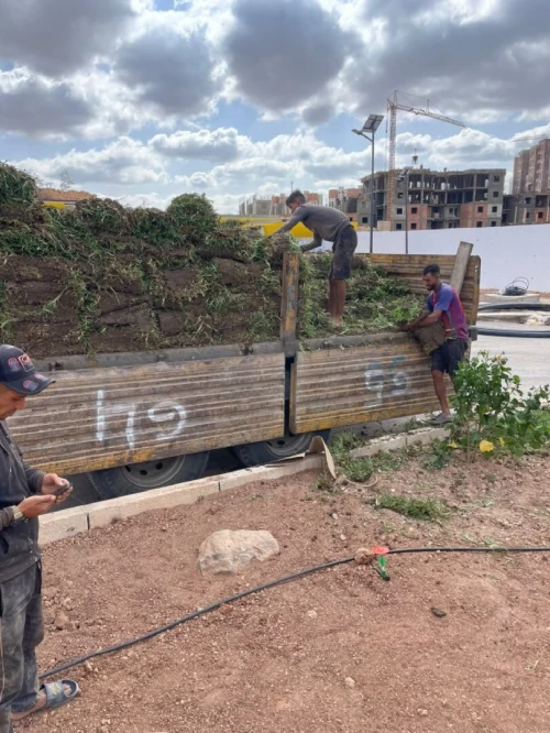 Paysagiste et décoration de jardin 
