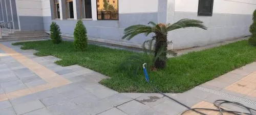 خدمات تهيئة مساحات خضراء و العشب طبيعي
