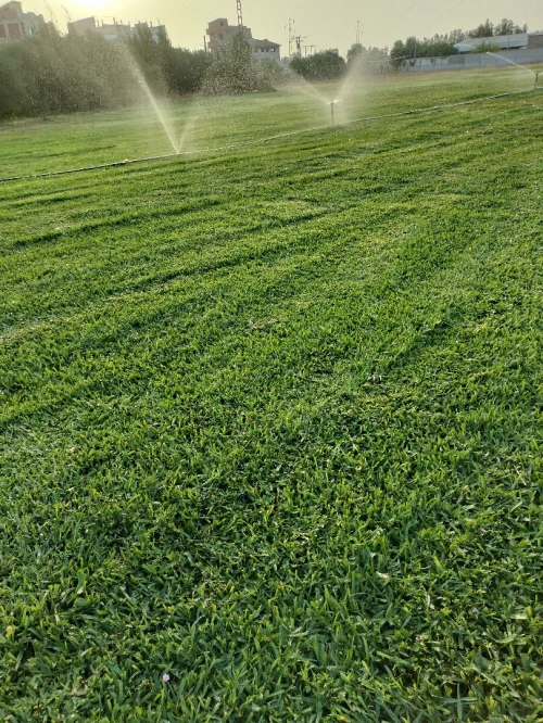 Aménagement Espace vert et gazon naturel 