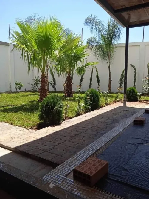 خدمات تهيئة مساحات خضراء و العشب طبيعي