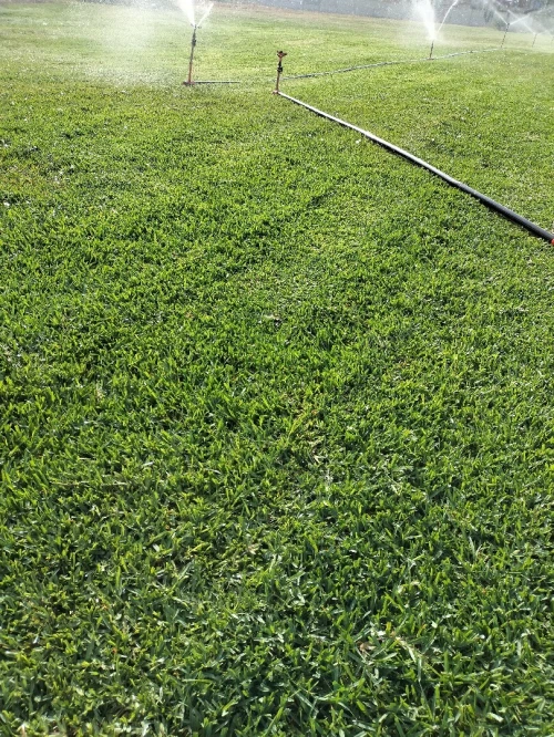 Gazon naturel et Espace vert jardinage 