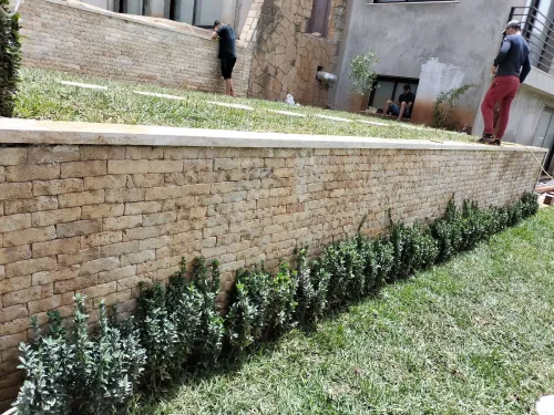 JARDINAGE EST AMÉNAGMENT DES ESPACE VERT GAZON naturel