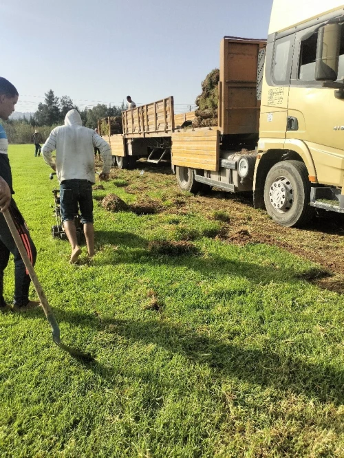 Gazon naturel et Espace vert jardinage 