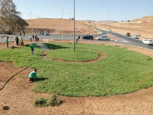 Paysagiste et décoration de jardin 