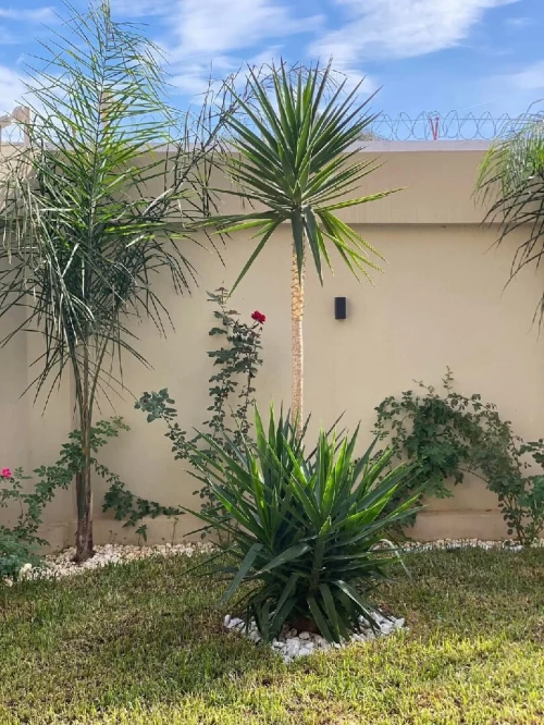 ENTREPRISE DE Décoration Jardinage