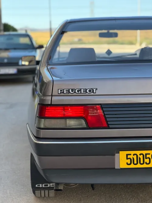 Peugeot 405 1989 405