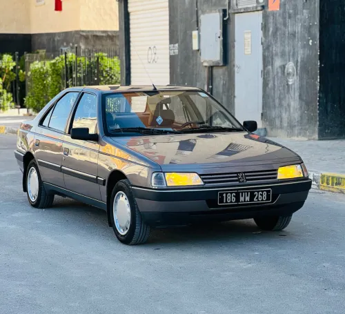 Peugeot 405 1989 405