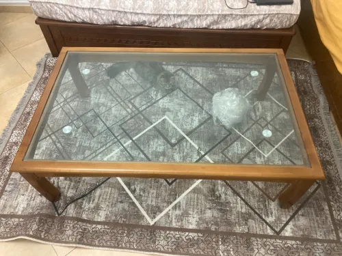 table basse boit hêtre jdida jamais utiliser 