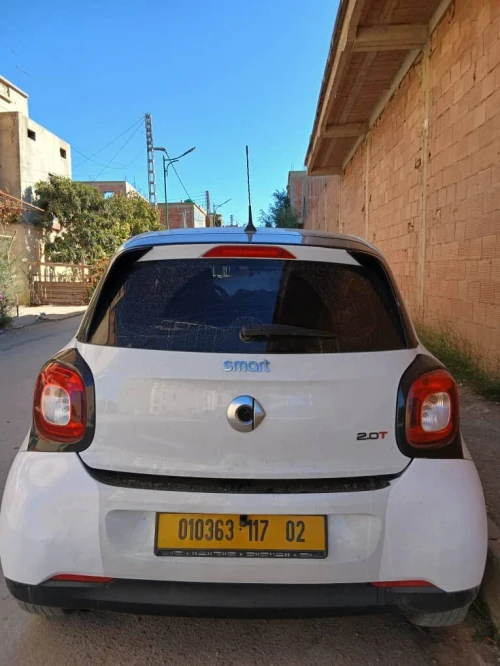Smart Forfour 2017 Toute options