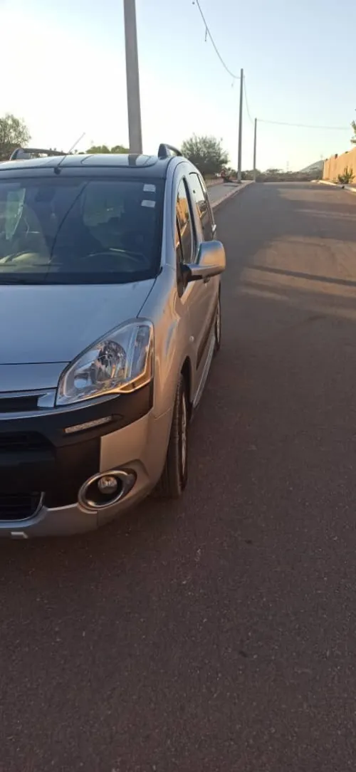 Citroen Berlingo Multispace 2014 Berlingo Multispace