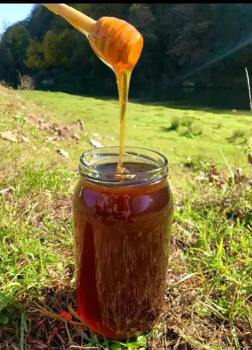عسل جبلي حر