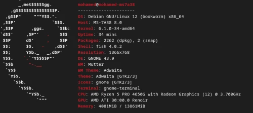 pc ryzen 5 4650G