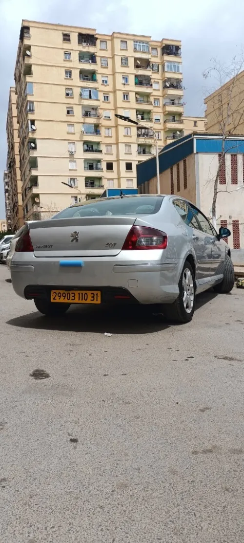 Peugeot 407 2010 407