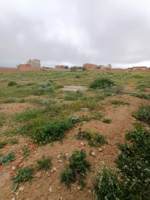 Vente Terrain Mostaganem Sayada