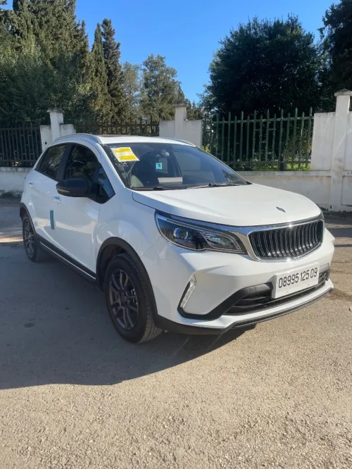 Livan X3 Pro  2025 X3 Pro automatique + Toit 