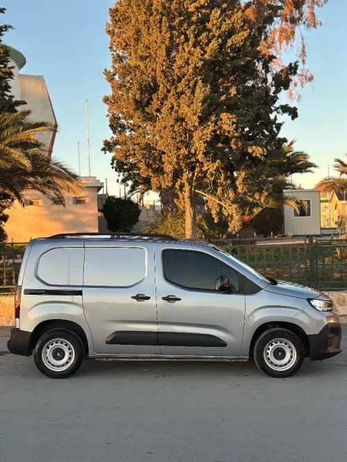 Fiat Doblo Van 2024 