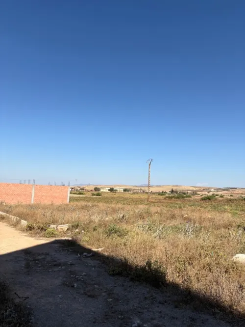 Vente Terrain Tlemcen Zenata