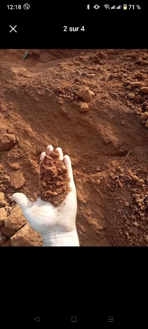 Vente bon terre végétale rouge pour jardinage متوفر تراب احمر للغرس جودة عالية