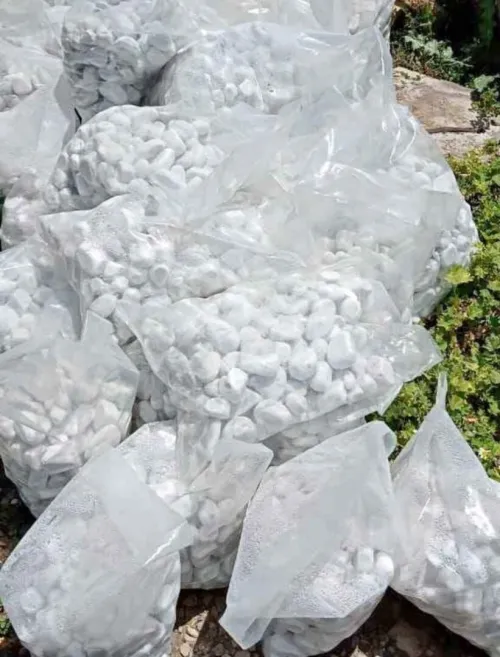  Gallet pour décoration de jardin, espace Vert piscine possibilité de