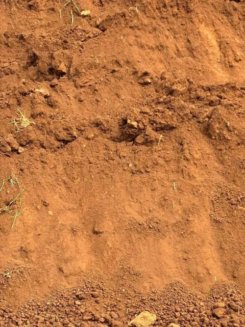 Vente bon terre végétale rouge pour jardinage متوفر تراب احمر للغرس جودة عالية