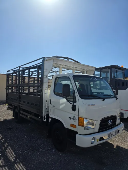 Hyundai Hd65 2019