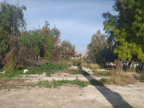 Vente Terrain Constantine Constantine