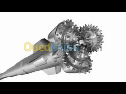 sonda forage