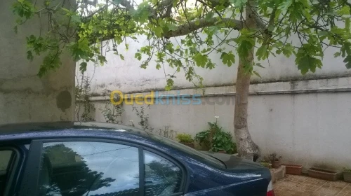 Location vacances Appartement F2 Oran Oran