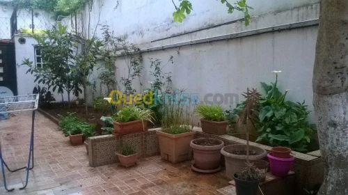 Location vacances Appartement F2 Oran Oran