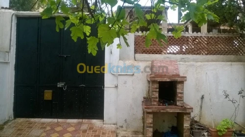 Location vacances Appartement F2 Oran Oran