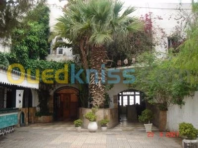 Location vacances Appartement F2 Oran Oran