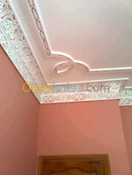 platre +finition general