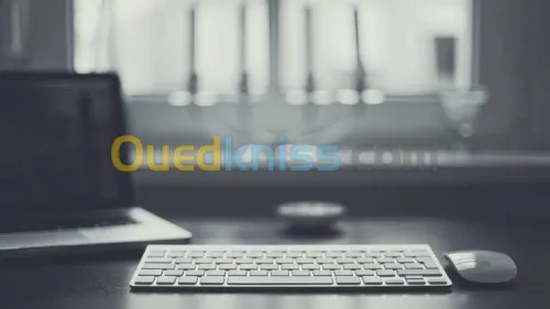 Developpement Application de gestion 