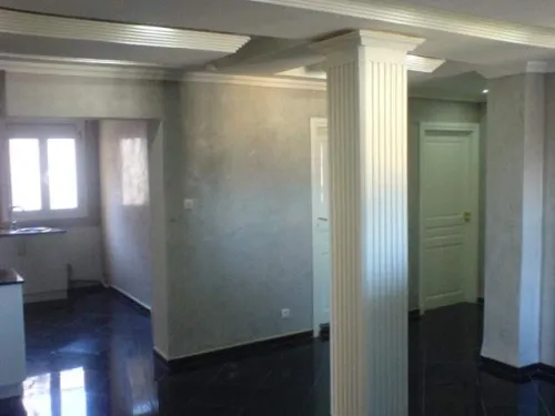 MURE HGP FAUX PLAFONDS PLACOPLATRE & P. V. C