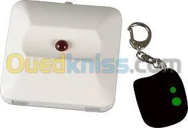 Fourniture Et Pose Alarme. Camera De S