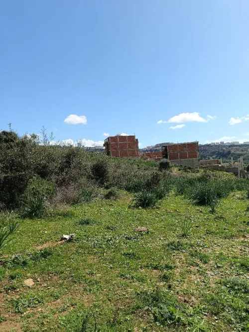 Vente Terrain Constantine Constantine