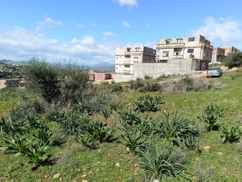 Vente Terrain Constantine Constantine