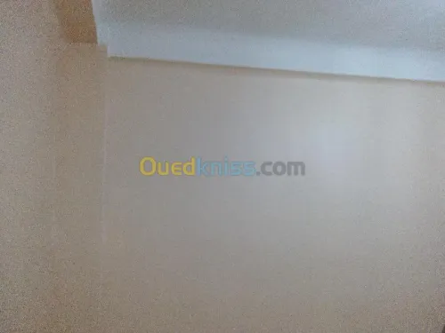 pentre et placo platre